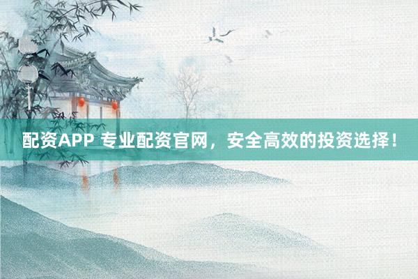 配资APP 专业配资官网，安全高效的投资选择！