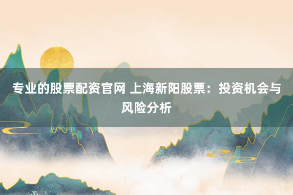 专业的股票配资官网 上海新阳股票：投资机会与风险分析