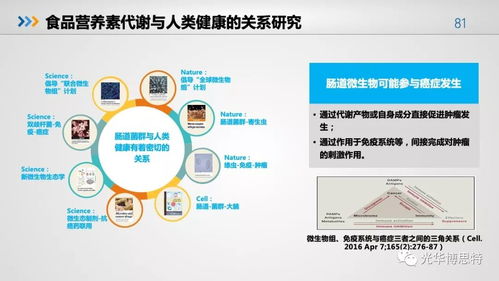 重磅 2018食品产业营养与健康发展趋势报告 发布 完整ppt可下载